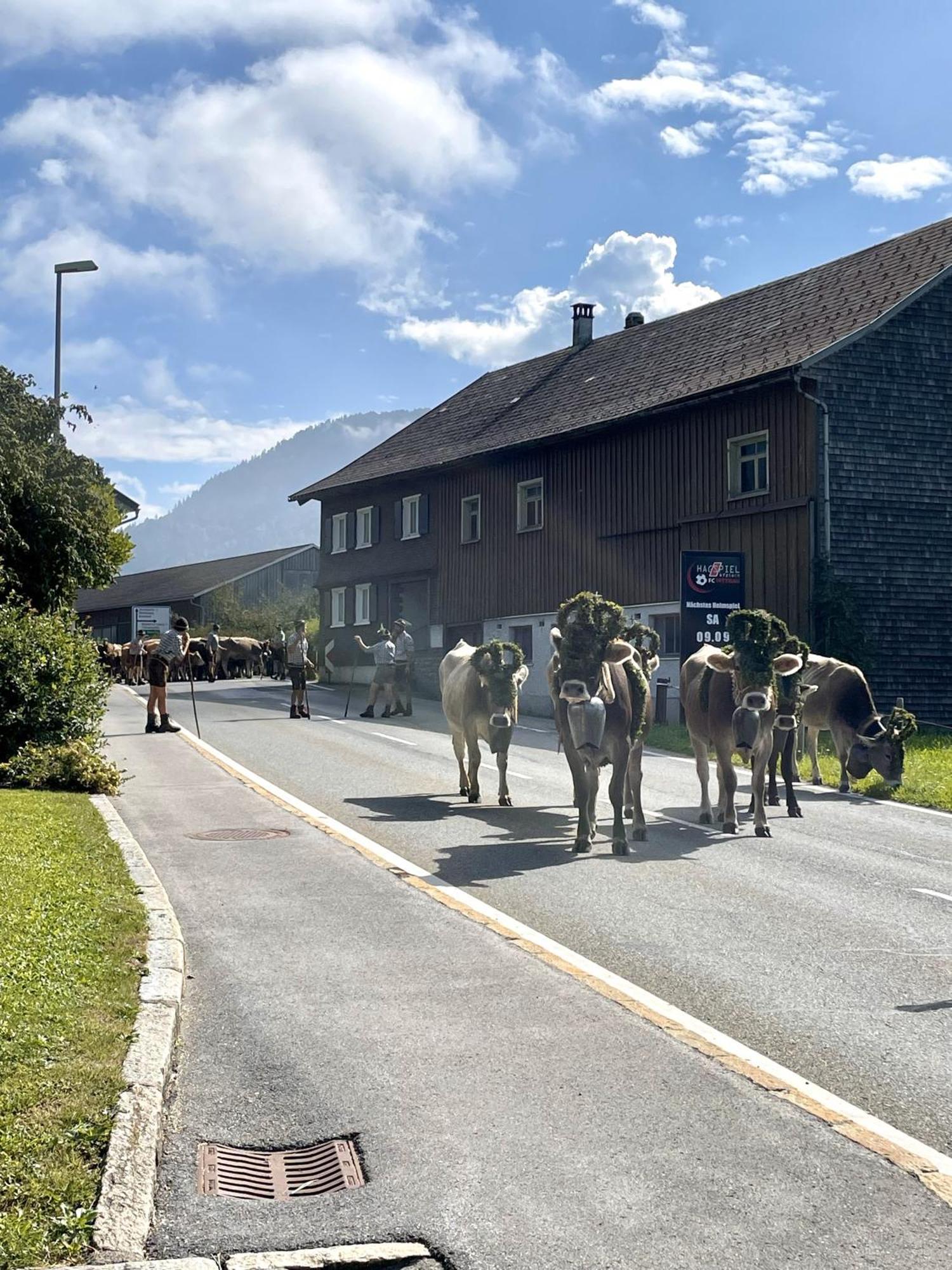 Ferienwohnung Zu Gast bei den Hagspiels Hittisau Exterior foto